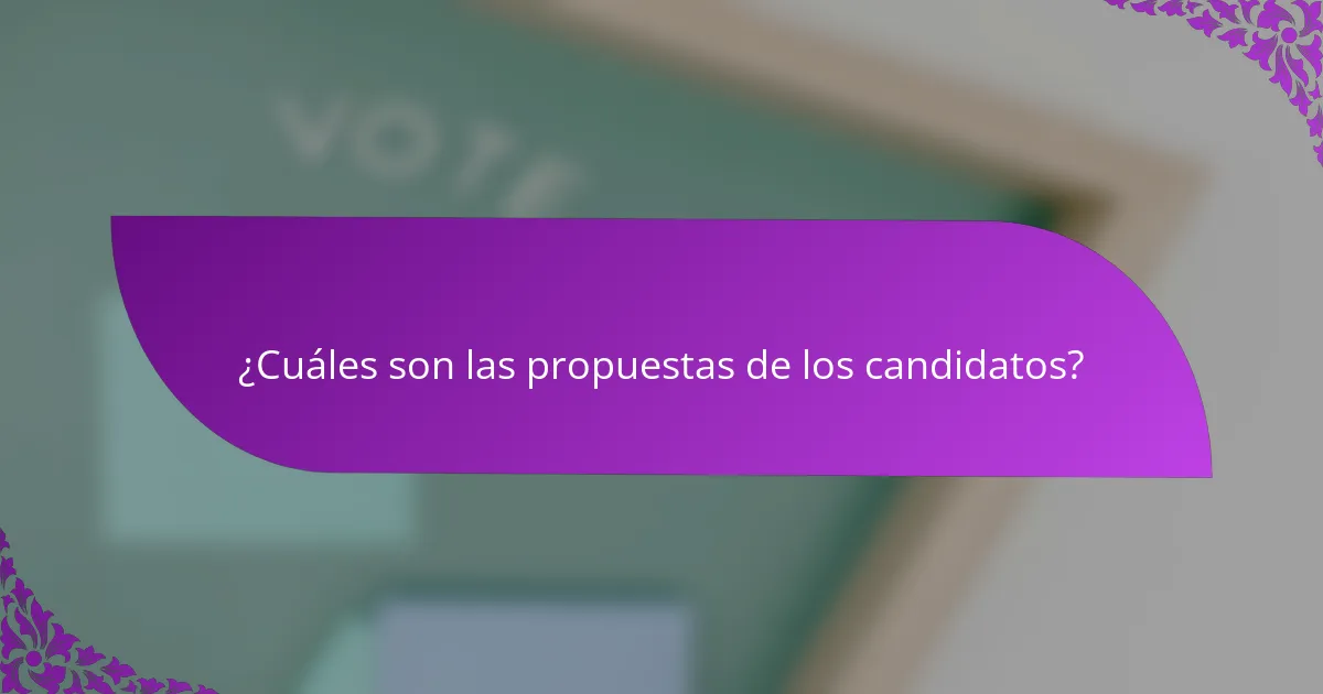 ¿Cuáles son las propuestas de los candidatos?